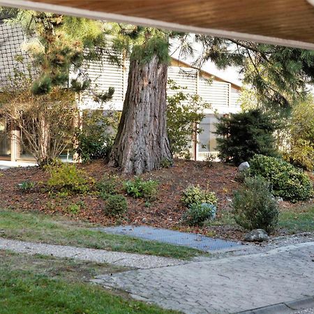 Ferienwohnung Konigsegg Ines Koch Reichenau Buitenkant foto